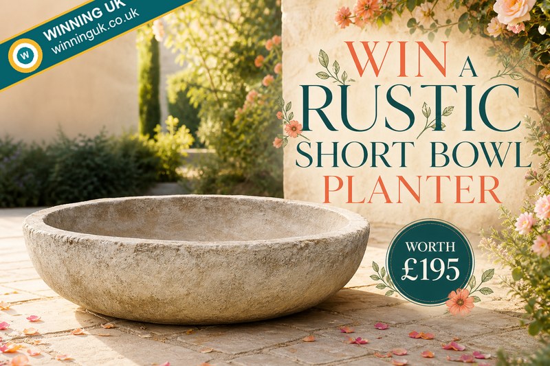 Win a Rustic Short Bowl Planter
